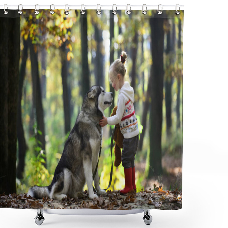 Personality  Red Riding Hood With Wolf In Fairy Tale Woods. Little Girl With Dog In Autumn Forest. Childhood, Game And Fun. Child Play With Husky And Teddy Bear On Fresh Air Outdoor. Activity And Active Rest. Shower Curtains