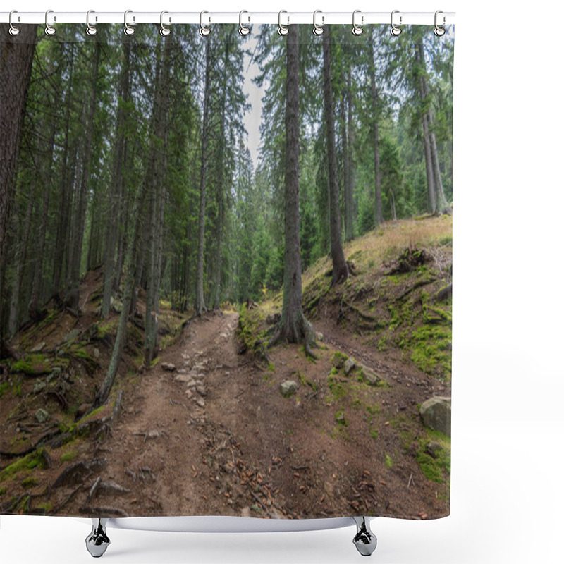 Personality  Mysterious Forest In Morning Fog, In Bulgaria National Park In Smolyan. Shower Curtains