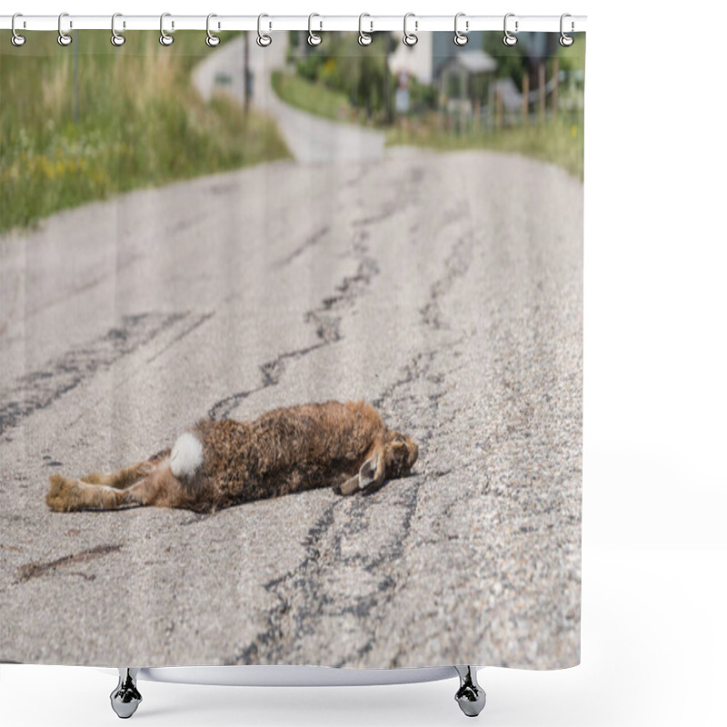 Personality  Game Accident Due To Collision - Rabbit Lies Dead On The Street Shower Curtains