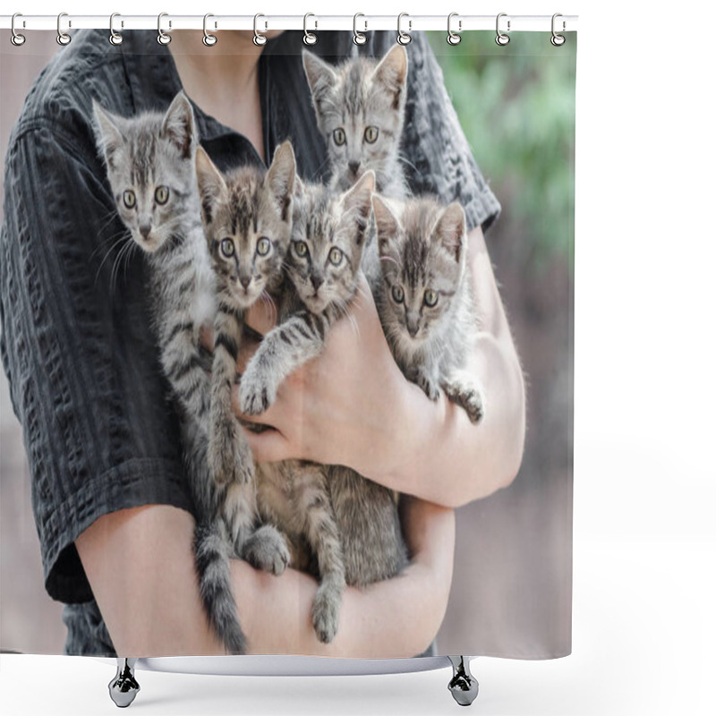 Personality  Bunch Of Tabby Kittens In Female Hands Shower Curtains