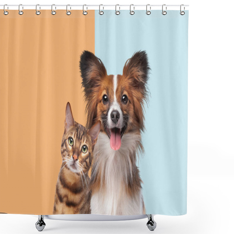 Personality  Portrait Of A Cat And Dog Looking At Camera In Front Of Trendy Duo Tone Background Shower Curtains