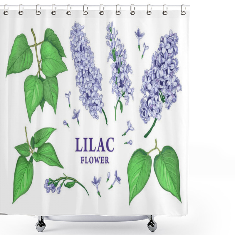 Personality  Set Of Hand Drawn Luxurious Flowers And Leaves Of Lilac. Vector Illustration Of Plant Elements For Floral Design. Color Sketch Isolated On A White Background. Beautiful Bouquet Of Blue Lilac Shower Curtains