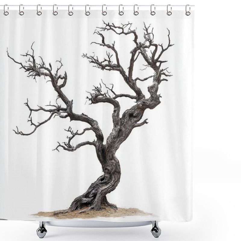 Personality  Old Tree On White Background Shower Curtains