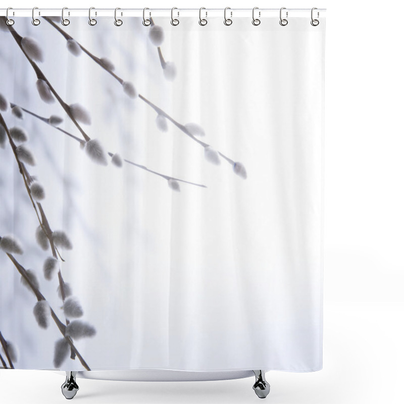 Personality  Art Spring Flowering Branches Of Willow Shower Curtains