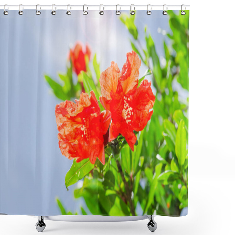 Personality  Pomegranate Spring Blooming Branch With Backlit Red Flowers Shower Curtains