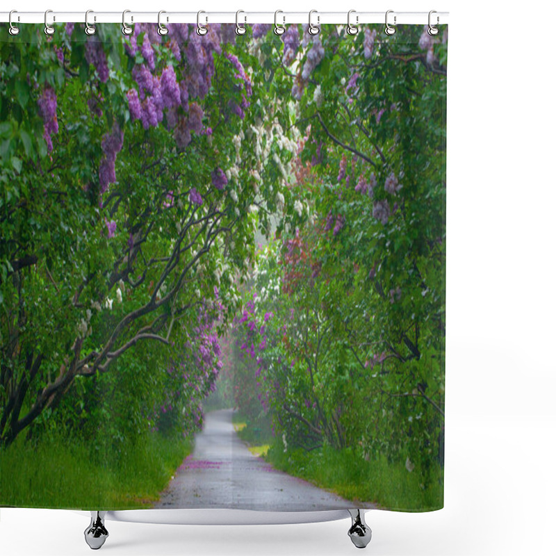 Personality  Beautiful Alley With Lilac Flowers Spring Blossom In Kyiv Botanical Garden Park Shower Curtains