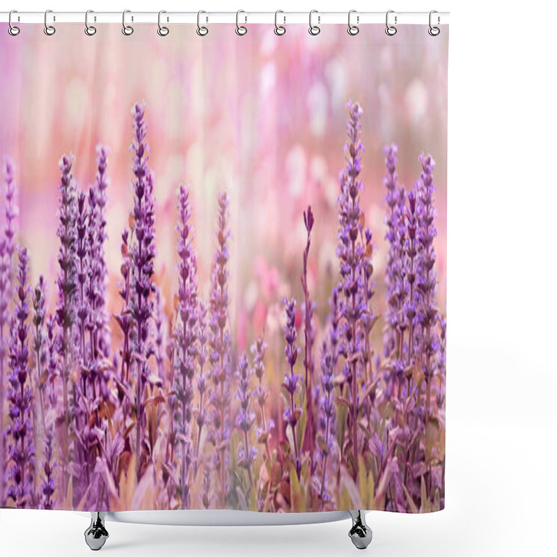 Personality  Flowering Purple Flowers, Purple Flower In Bloom, Beautiful Nature In Meadow  Shower Curtains