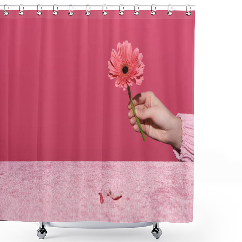 Personality  Cropped View Of Woman Holding Gerbera With Petals On Velour Cloth Isolated On Pink, Girlish Concept  Shower Curtains