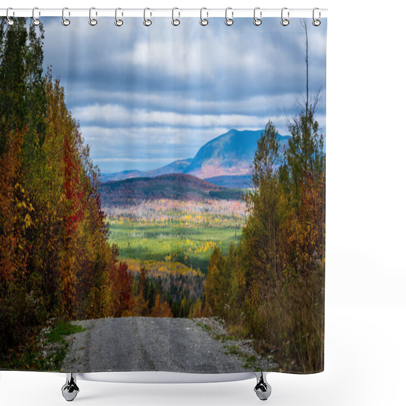 Personality  The Forest Over The Edge Shower Curtains