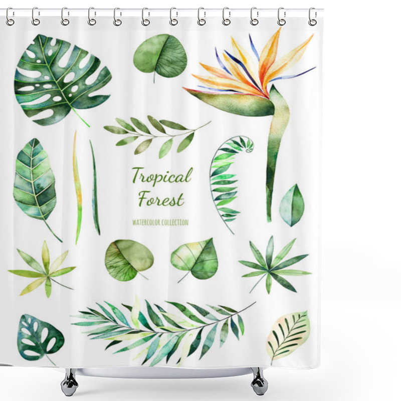 Personality  Tropical Leafy Collection.  Shower Curtains