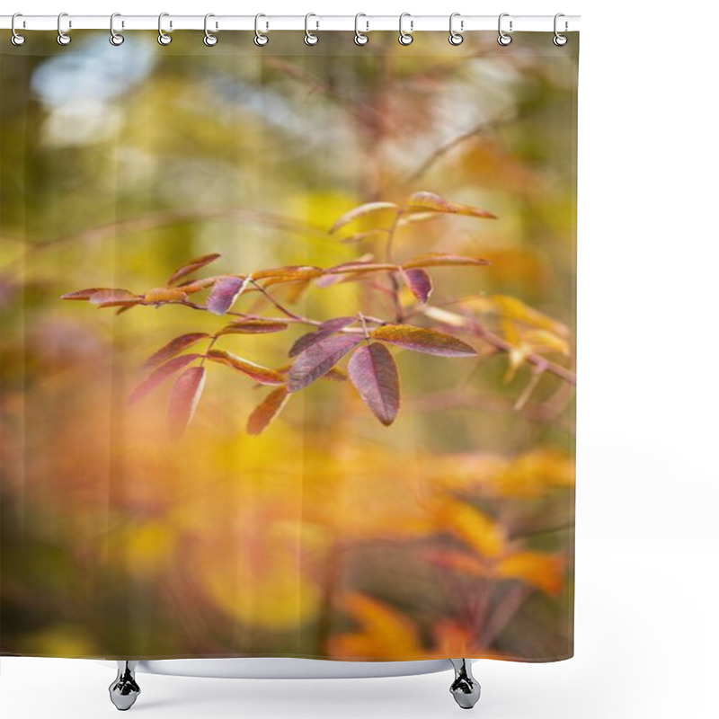 Personality  Close-up Of Vibrant Autumn Leaves Showcasing Hues Of Orange And Purple. Shower Curtains