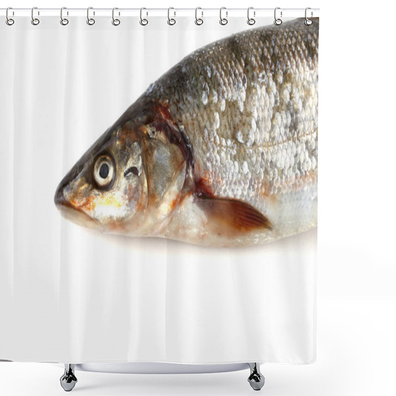 Personality  Pacific Redfin Isolated On White Shower Curtains