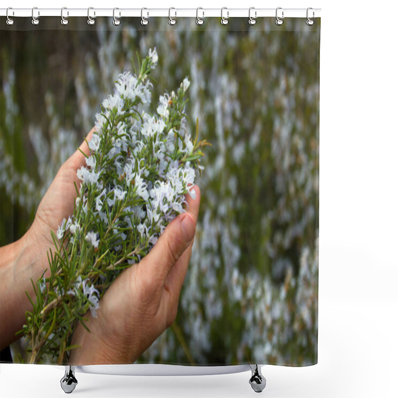 Personality  Sprig Of Fresh Rosemary Shower Curtains