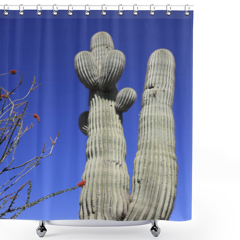 Personality  Red Flowers And Saguaro Cactus Shower Curtains