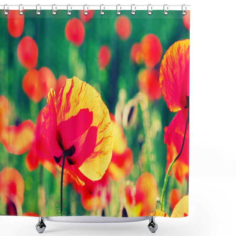 Personality  Red Poppy Flowers Shower Curtains