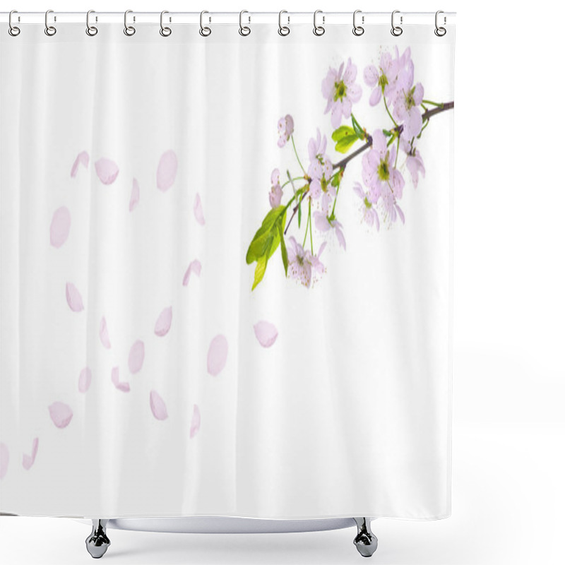 Personality  Spring Cherry Tree Petals Heart Shower Curtains