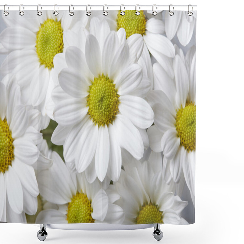 Personality  Chamomile Background Shower Curtains