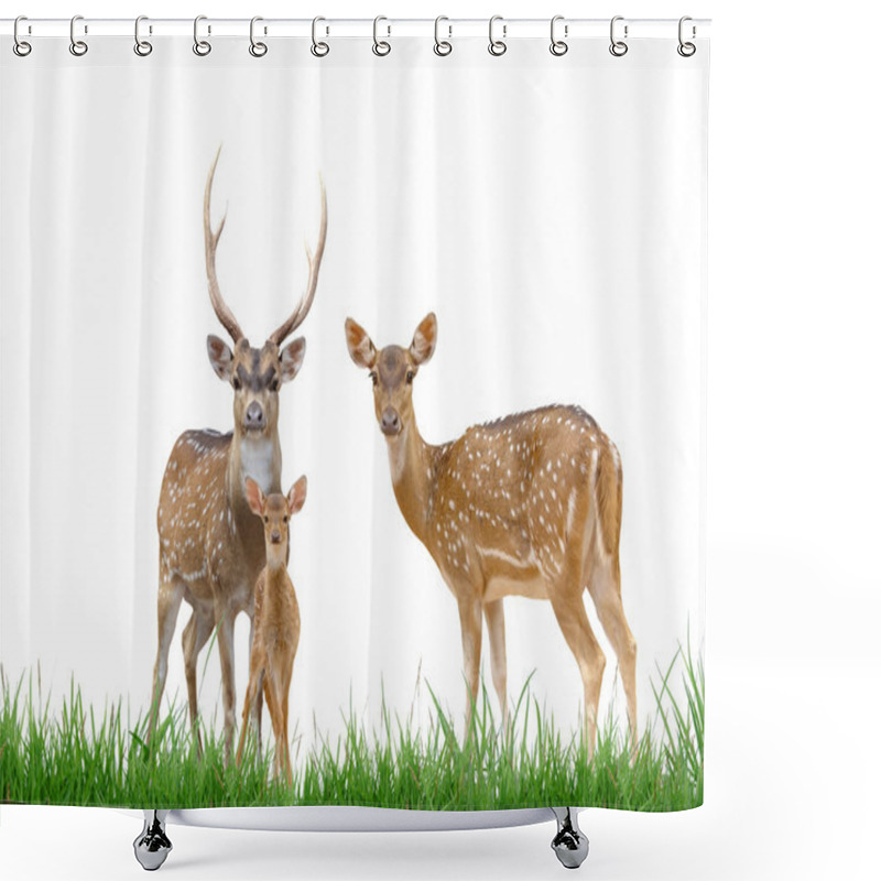 Personality  Axis Deer Family With Green Grass Isolated Shower Curtains