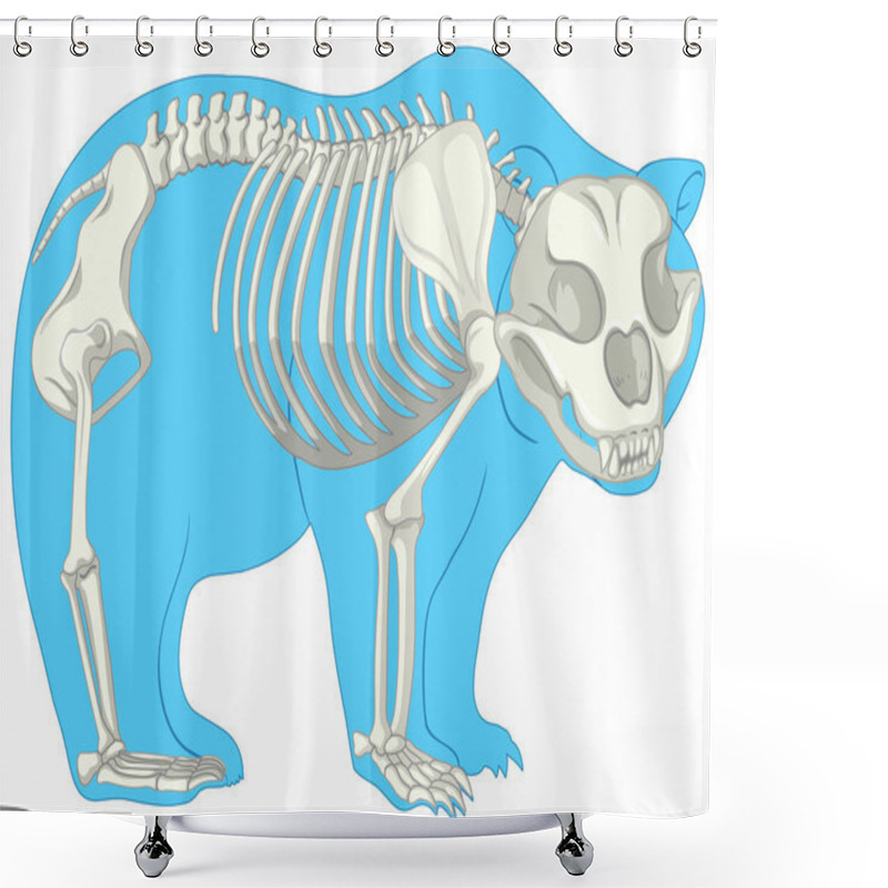 Personality  Skeleton Anatomy Of Wild Bear Isolated Illustration Shower Curtains