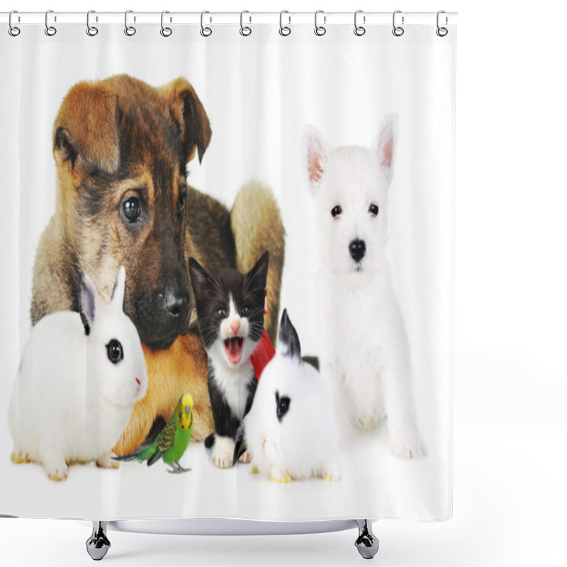 Personality  L Beautiful Rabbit Shower Curtains