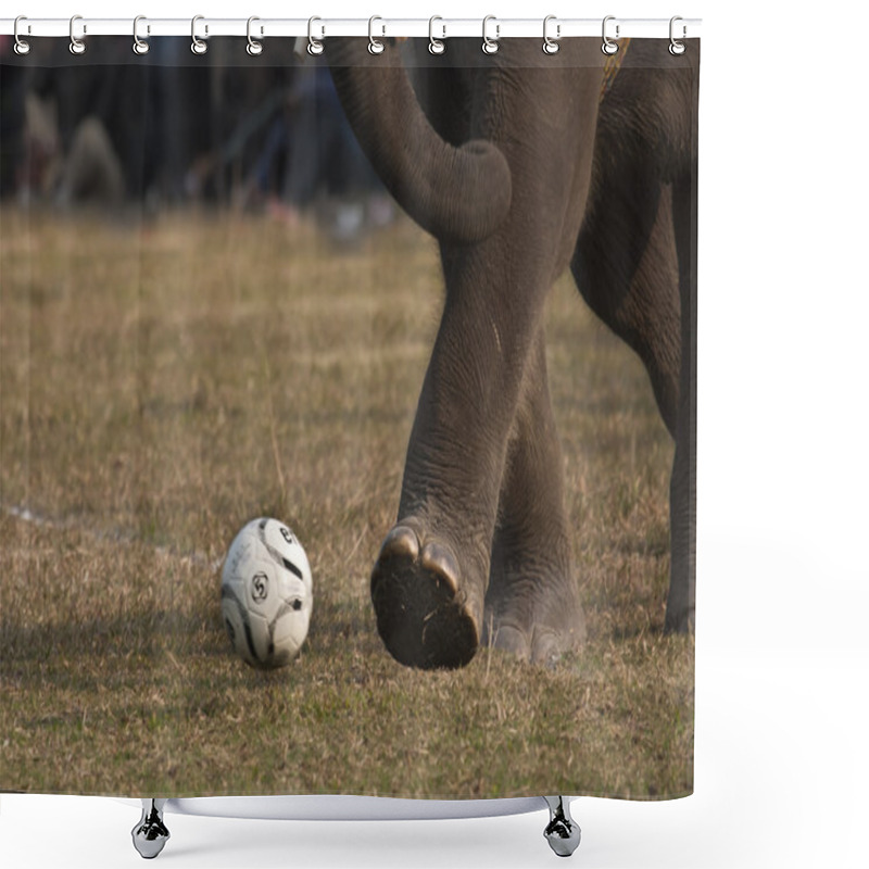 Personality  Elephant Football Game Shower Curtains