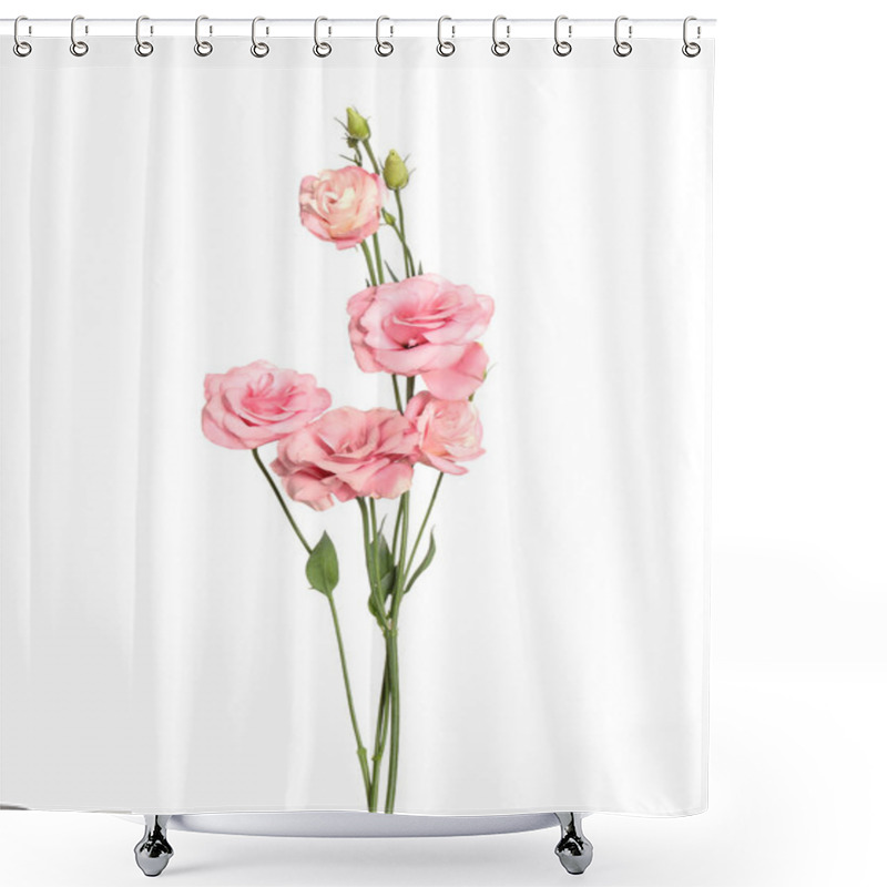 Personality  Beautiful Fresh Eustoma Flowers Isolated On White Shower Curtains