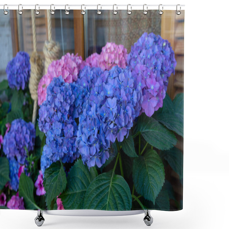 Personality  Hydrangea Serrata In A Flowerbed On A City Street. Flowers Shower Curtains