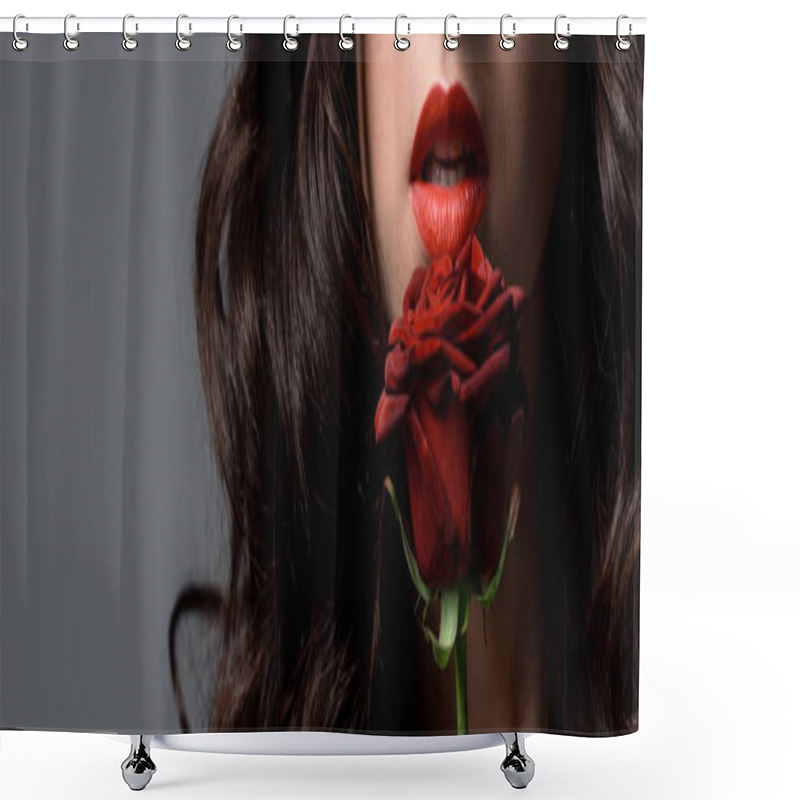 Personality  Panoramic Shot Of Curly Passionate Woman Holding Red Rose, Isolated On Grey Shower Curtains