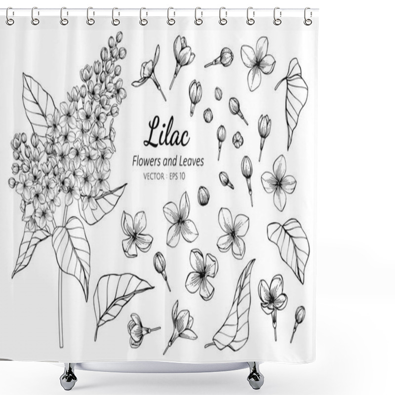 Personality  Collection Set Of Lilac Flower And Leaves Drawing Illustration. Shower Curtains