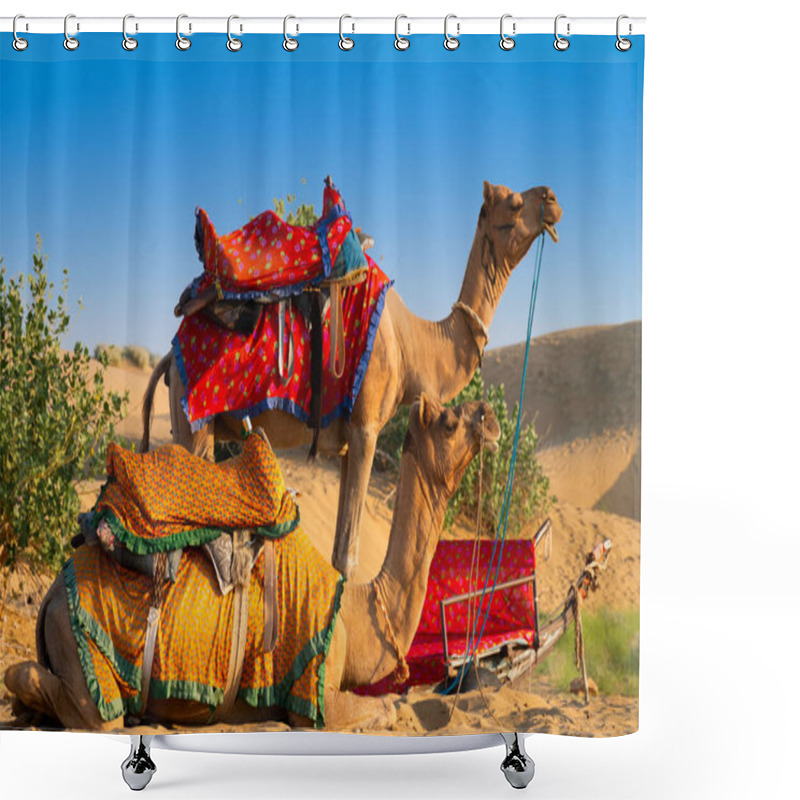 Personality  Camels With Traditional Dresses, Waiting Beside Road For Tourists For Camel Ride At Thar Desert, Rajasthan, India. Camels, Camelus Dromedarius, Are Desert Animals Who Carry Tourists On Their Backs. Shower Curtains