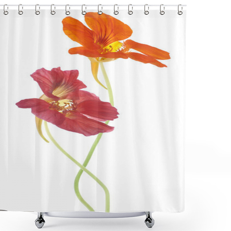 Personality  Nasturtium Shower Curtains