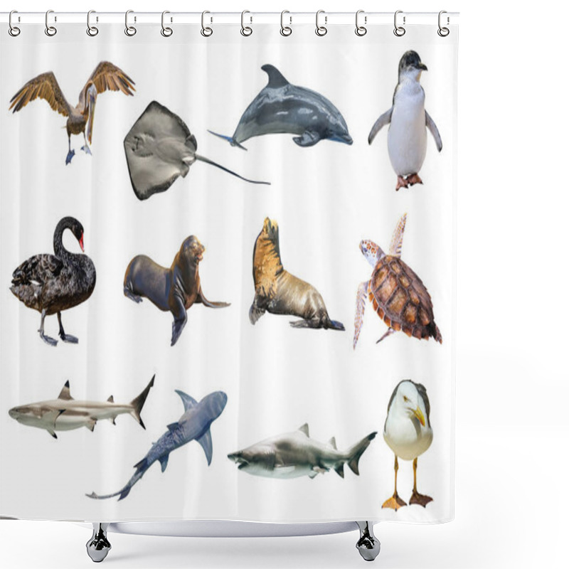 Personality  Australian Animals Collage Shower Curtains