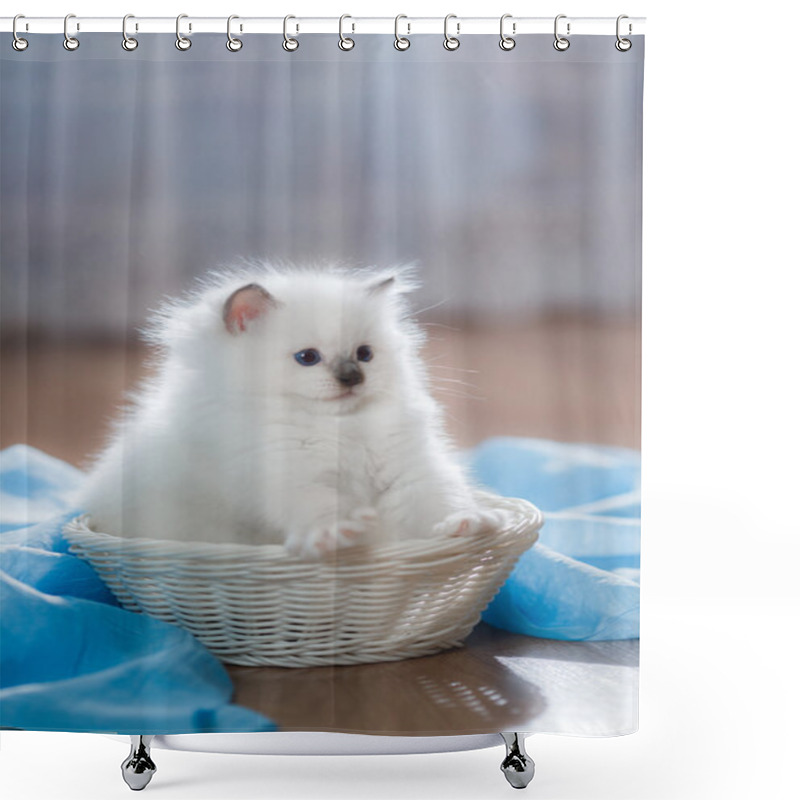 Personality   Ragdoll Blue Point Kitten Shower Curtains