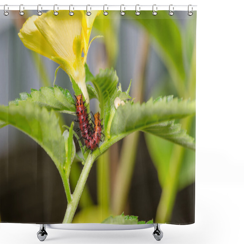 Personality  Dark Red Caterpillar On Green Leaf And Yellow Flower Shower Curtains