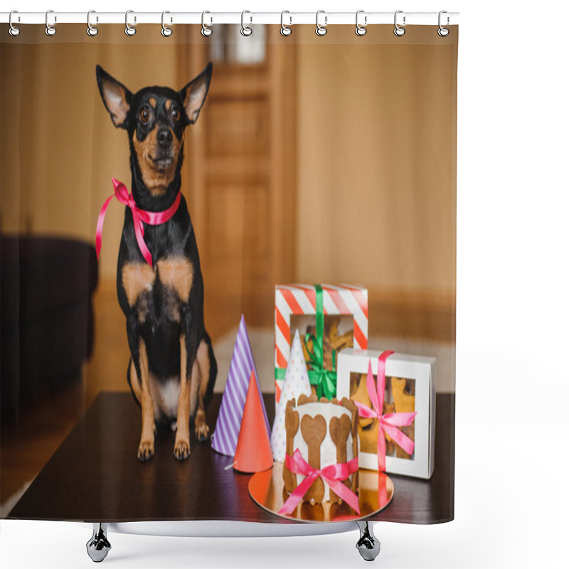 Personality  Toy Terrier And Dog Cake , Cookie In Boxes With Birthday Hat  Shower Curtains