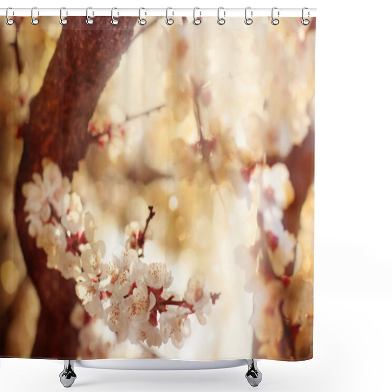 Personality  Spring Blossom  Shower Curtains