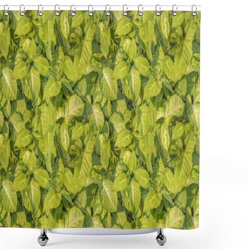 Personality  Tropical Style Leaves Motif Seamless Pattern Shower Curtains