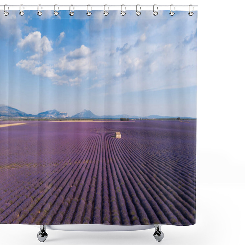 Personality  Aerial View Of Farm On Beautiful Blooming Lavender Field In Provence, France  Shower Curtains