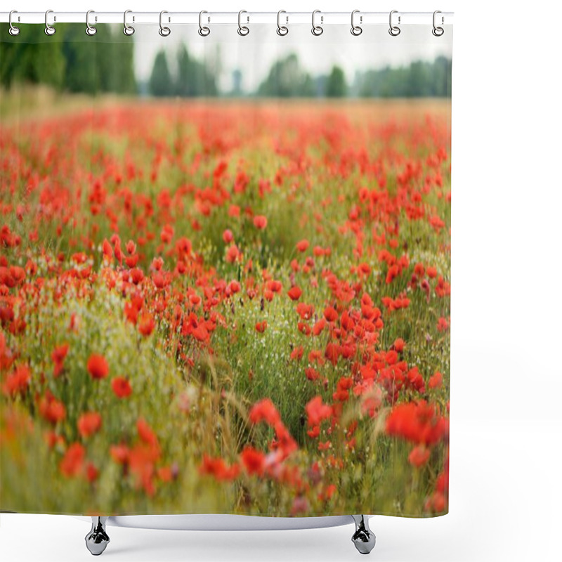 Personality  Red Poppy Field Shower Curtains