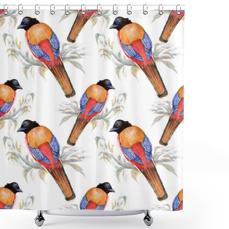 Personality  Birds And Flowers Seamless Pattern Shower Curtains