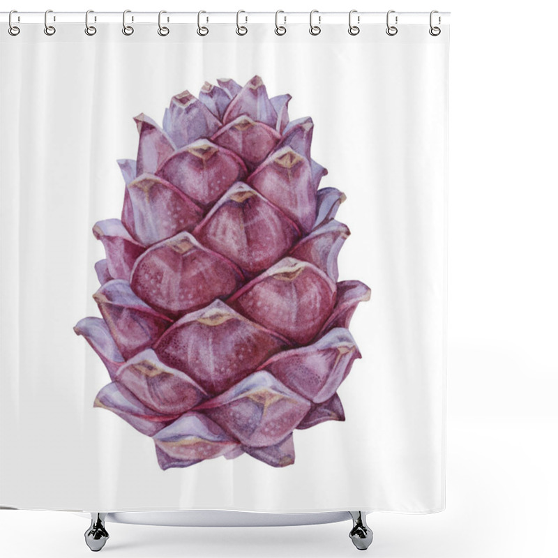 Personality  Watercolor Hand-drawn Realistic Cedar Pine Cone Isolated On White Background. Healthy Vegan Food. Botanical Illustration. Art Creative Nature Object For Sticker, Card, Textile, Wrapping Shower Curtains