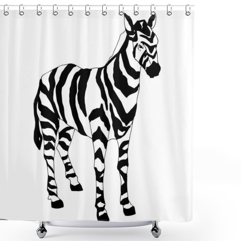 Personality  Vector Exotic Zebra Wild Animal Isolated. Black And White Engraved Ink Art. Isolated Animal Illustration Element. Shower Curtains