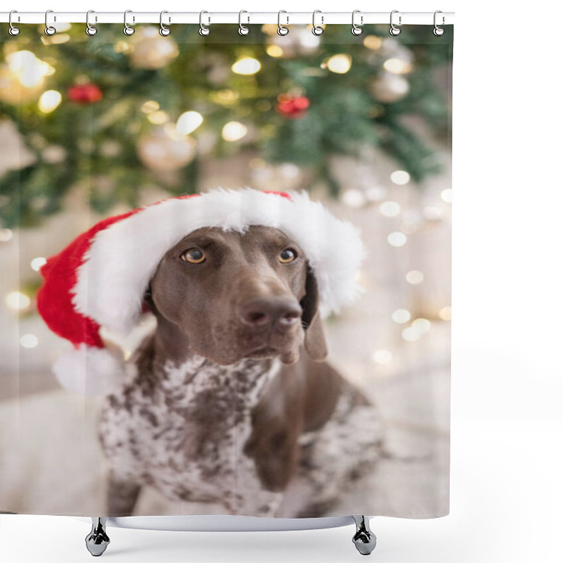 Personality  GSP Dog Wearing A Santa Claus Hat In Front Of Christmas Tree Shower Curtains