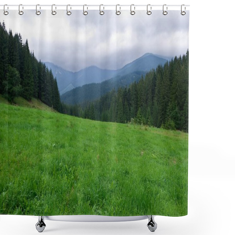 Personality  Green Glade In A Forest Shower Curtains