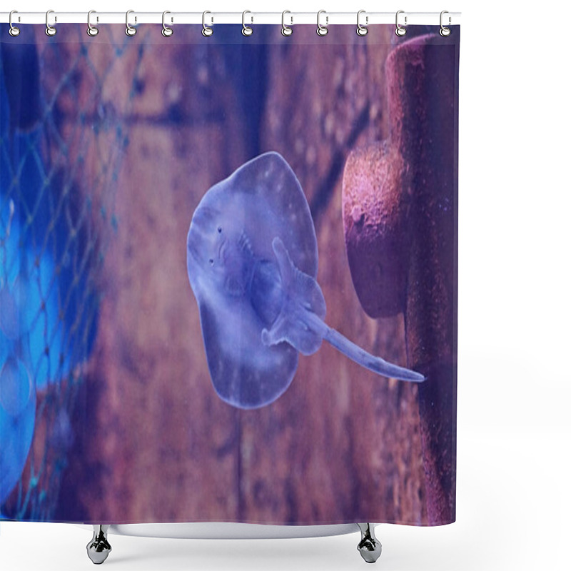 Personality  Cute Smiling Face Of Young Manta Ray Shower Curtains