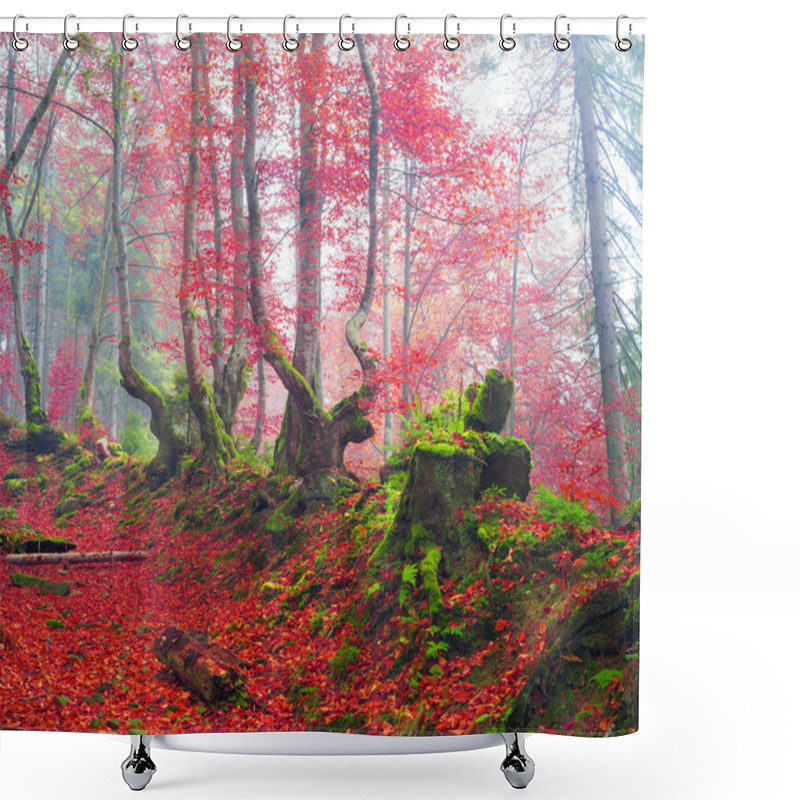 Personality  Beech Forest In Autumn Mountains Shower Curtains