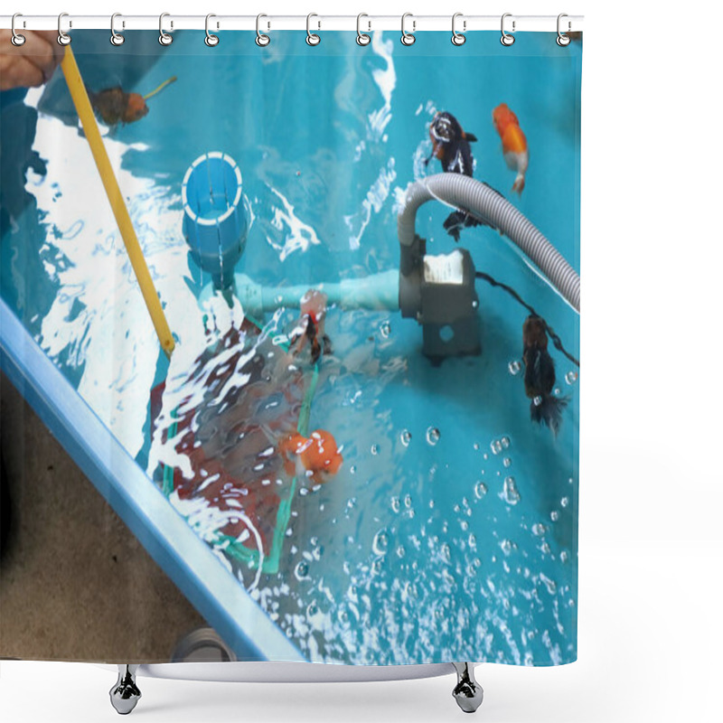 Personality  The Many Kinds Of GoldfishOranda Goldfish Lionhead Goldfish And Ranchu Goldfishare Swimming In The Plastic Trough. Shower Curtains