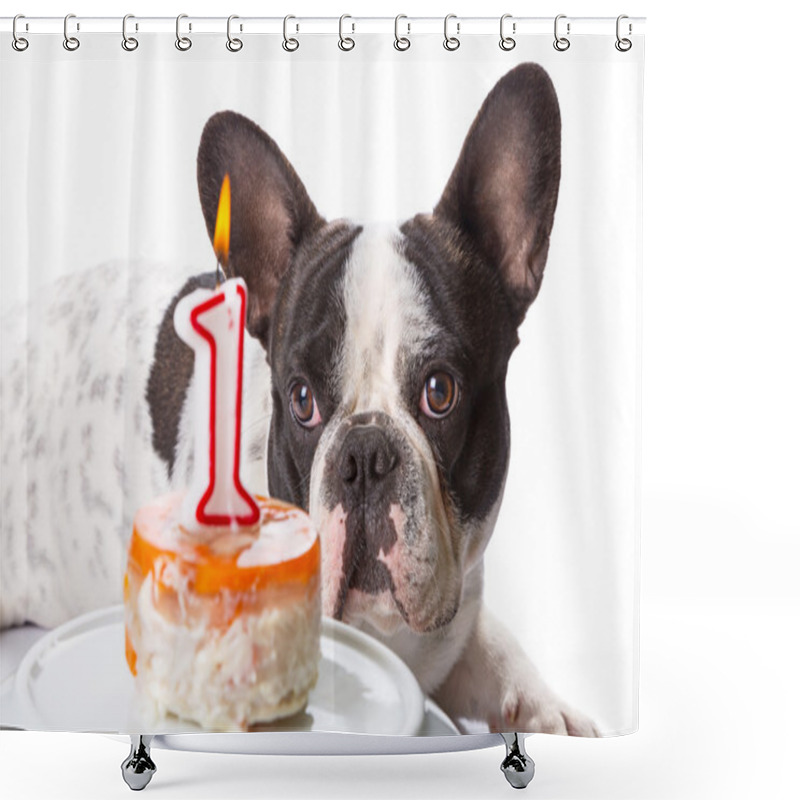 Personality  French Bulldog On His First Birthday Shower Curtains