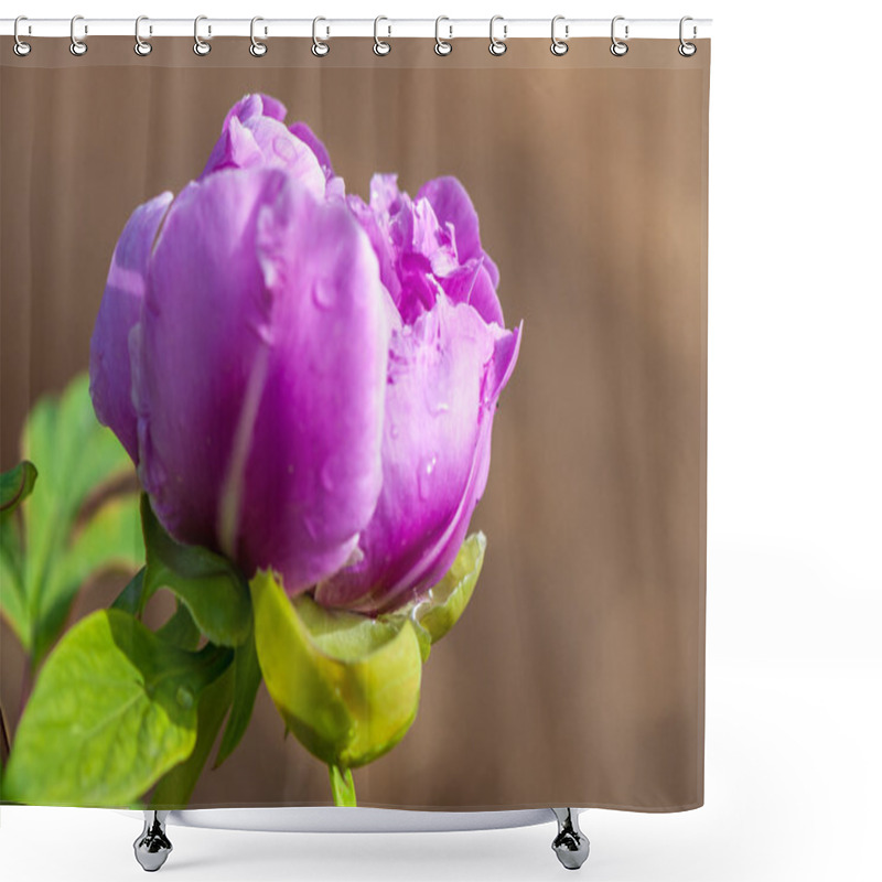 Personality  Fresh Pink Peonies Shower Curtains