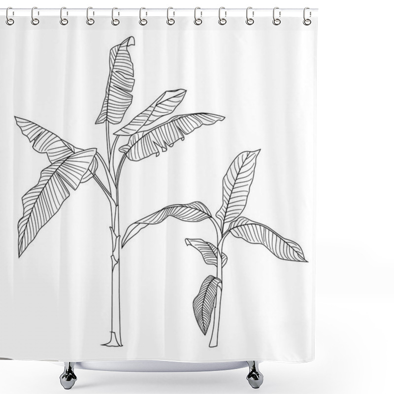 Personality  Vector Illustration, Drawing In Black And White, Tropical Plant Shower Curtains